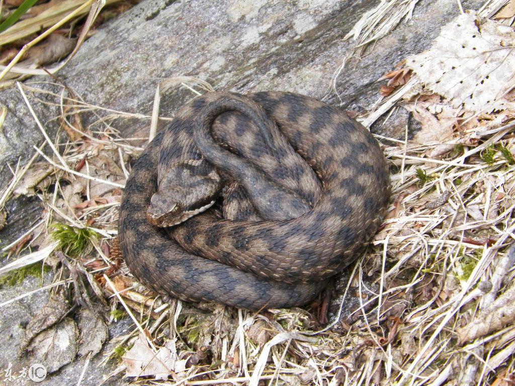 吉林寻美之旅，脚下尽是美好风景