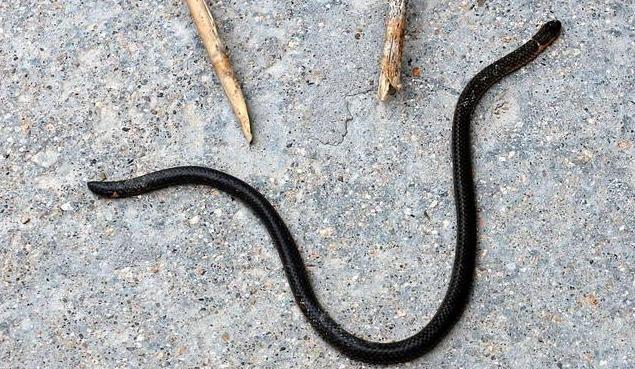 江西的温馨日常,友情、家庭与美好时光的记录