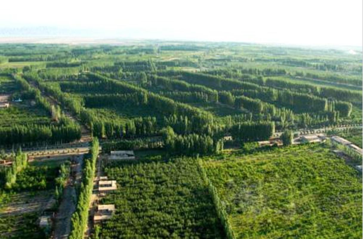 多元文化交融的边疆明珠——新疆